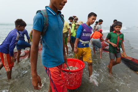 Young boys helping to bring a bucket with fish to shore The workers of Bay of Bengal Cox’s Bazar Bangladesh transporting caught fish