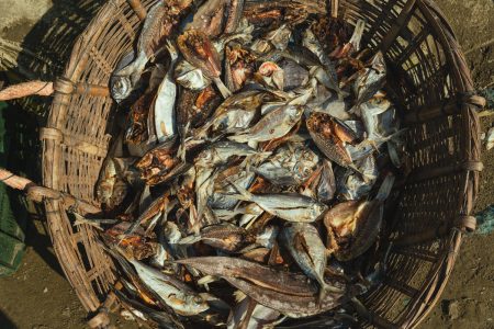 A pile of dried fish layout ready for collection around the straw basket. Cleaned fish prepared for the next stage of the manufacturing process at Dhaka - Bangladesh Dried Fish Village.