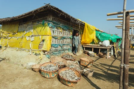A facility built from tarps and wood. Facility at Dhaka - Bangladesh Dried Fish Village built from tarps and wood.