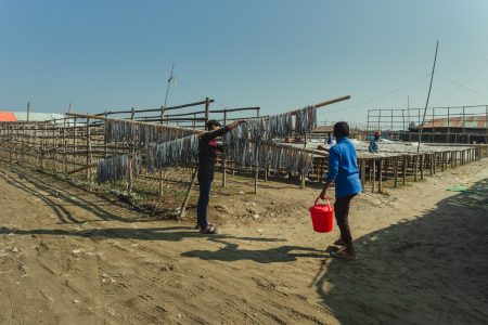 Lines of fresh fish hang in opposite directions, prepared for drying at bay in Naziratek Transporting rods of fish at Dhaka - Bangladesh Dried Fish Village.