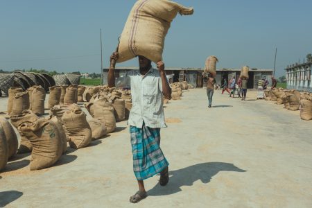 Rice mill workers are transporting 30 kilos sacks of rice on the top of their heads Carrying full hessian bags of rice over head at Dhaka, Bangladesh Rice Mills.