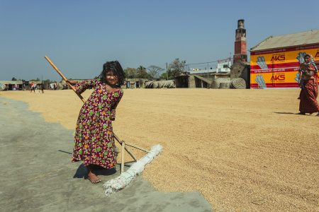 In a purple patterned dress, a village girl helps spread the rice grains to dry Little girl helping with the ground preparation at Dhaka, Bangladesh Rice Mills.
