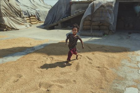 A girl runs across a field of rice grains at a rice mill in Bangladesh Little girl running through rice at Dhaka, Bangladesh Rice Mills.